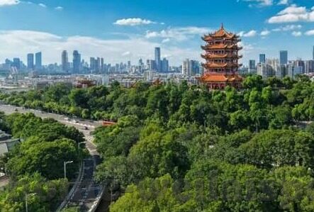 足球比赛历史比分-绿茵烽火，足球比赛历史比分的传奇史诗